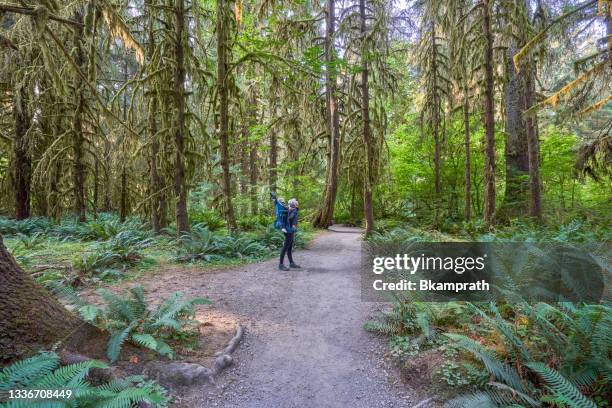 mother and toddler daughter in the unique scenery of the hoh rainforest in the beautiful olympic national park in western washington state usa. - olympic mountains washington state stock pictures, royalty-free photos & images