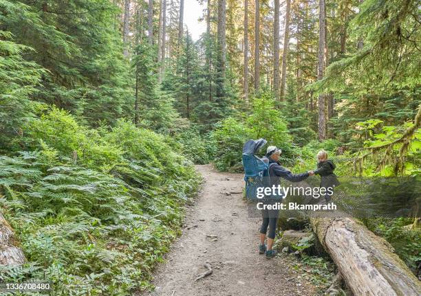 mother and toddler daughter at sol duc falls in the unique scenery of the sol duc river valley in the beautiful olympic national park in western washington state usa. - olympic national park stockfoto's en -beelden