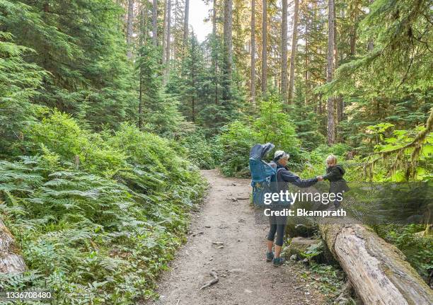 mother and toddler daughter at sol duc falls in the unique scenery of the sol duc river valley in the beautiful olympic national park in western washington state usa. - fallen tree stock pictures, royalty-free photos & images