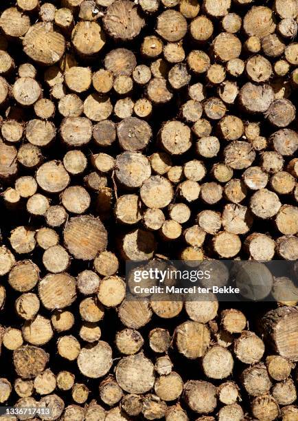 Wood Block Rounded Round Wood Block Photos and Premium High Res Pictures - Getty Images