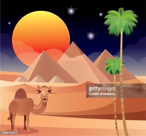 night time pyramids - giza pyramids stock illustrations