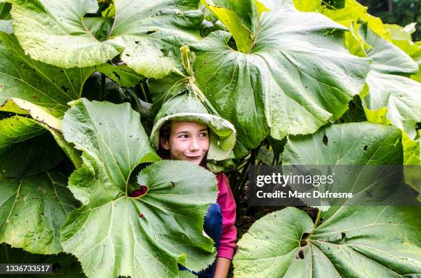 girl disguised as a gnome and hiding in lush foliage - 2021 a funny thing 個照片及圖片檔