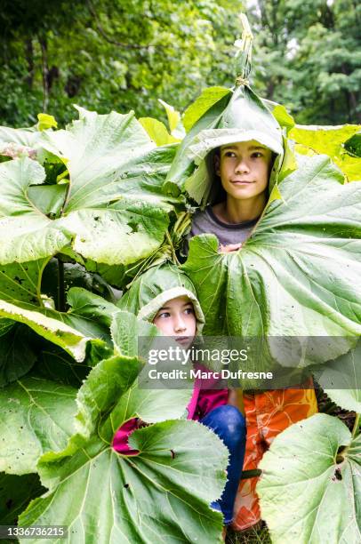 girl and boy disguised as a gnome and hiding in lush foliage - goblin stock pictures, royalty-free photos & images