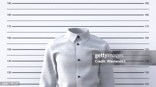 mug shotof invisible person - verbrecherfoto stock-grafiken, -clipart, -cartoons und -symbole