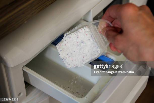 washing powder - weidenkätzchen stock-fotos und bilder