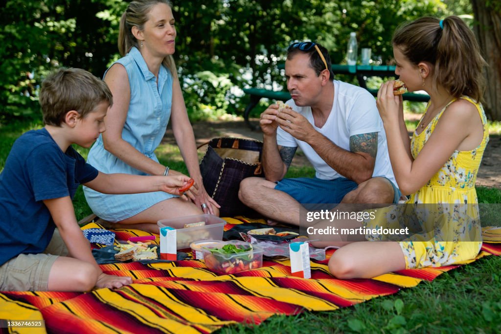 Family enjoying a picnic in public park in summer.