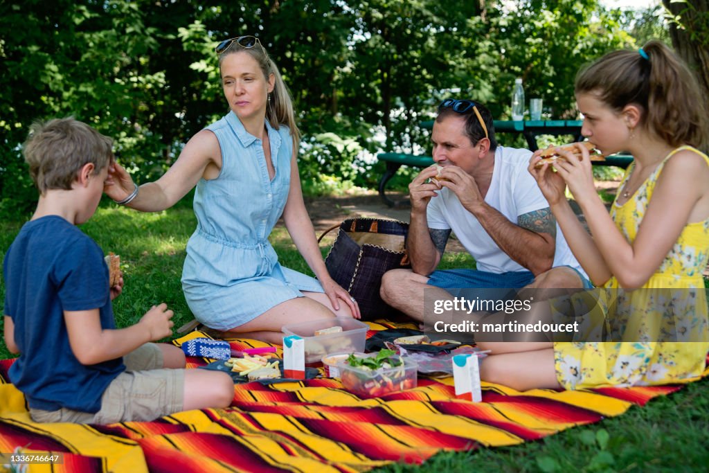 Family enjoying a picnic in public park in summer.