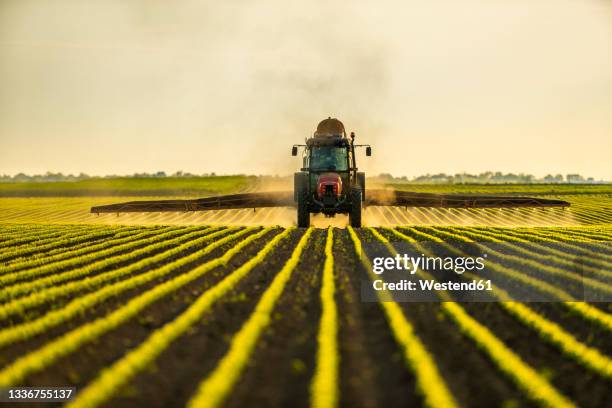 tractor spraying soybean crops at dusk - crop sprayer imagens e fotografias de stock