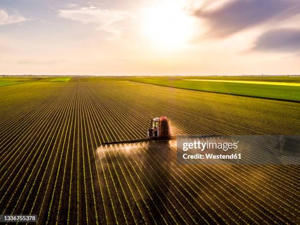 aerial view of tractor spraying soybean crops at sunset - spraying soybeans stock pictures, royalty-free photos & images