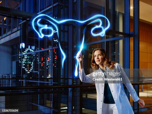 female gynecologist light painting ovary in laboratory at hospital - fallopian tube bildbanksfoton och bilder