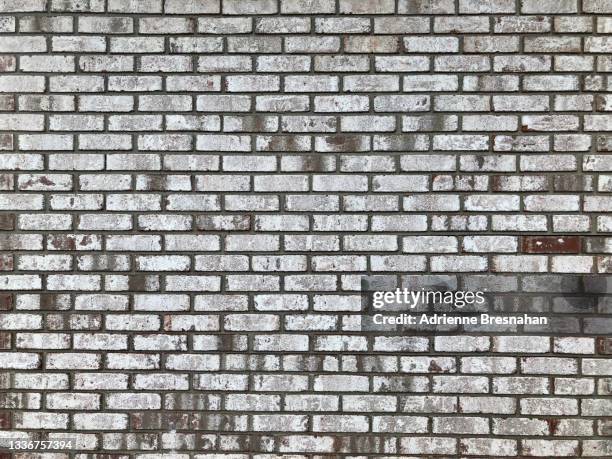 whitewashed brick wall - whitewashed stock pictures, royalty-free photos & images