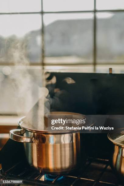 water boiling in stainless steel pan on a gas stove - fogão de acampamento imagens e fotografias de stock