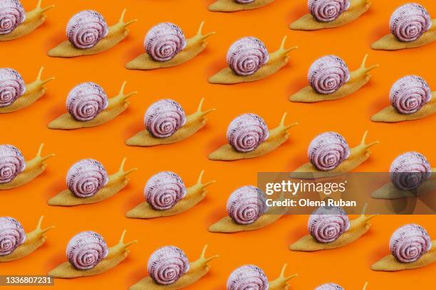 pattern of snails on a bright background - log stockfoto's en -beelden