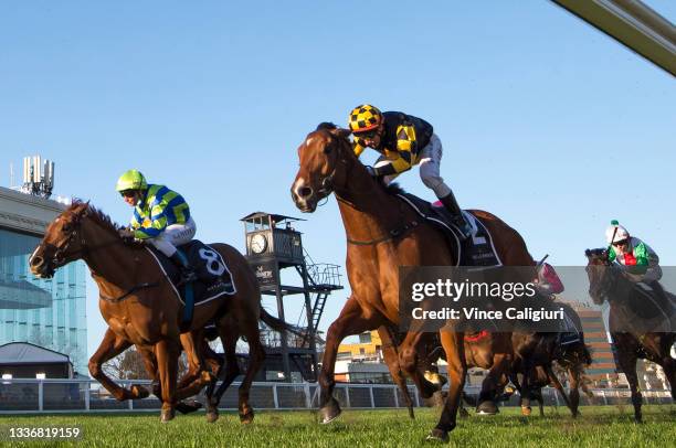 Brett Prebble riding Behemoth defeats Linda Meech riding Beau Rossa in Race 8, the Moet & Chandon Memsie Stakes, during Melbourne Racing at Caulfield...