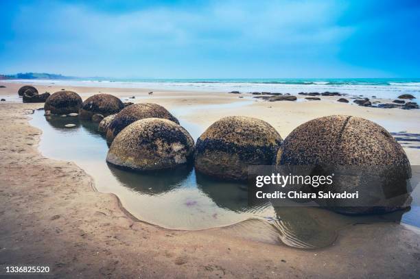 the moeraki boulders beach - moeraki boulders stockfoto's en -beelden