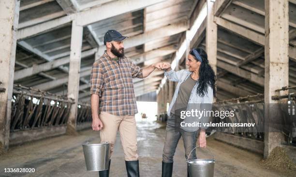 portrait of confident successful farm family engaged in breeding of cows posing in cowshed - cow cuddling stock pictures, royalty-free photos & images