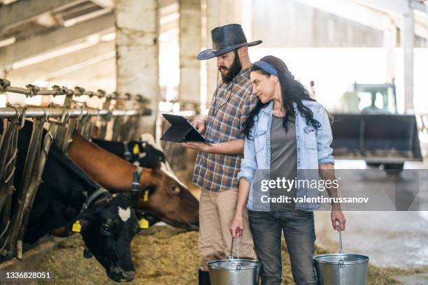 portrait of confident successful farm family engaged in breeding of cows posing in cowshed and using digital tablet - cow cuddling stock pictures, royalty-free photos & images