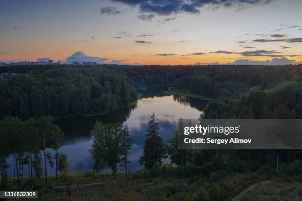 summer landscape of fir trees in front of river at evening dawn - krasnogorsky district moscow oblast stock pictures, royalty-free photos & images