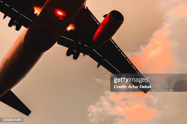 airplane landing in the international airport after the covid-19 travel restrictions. - aircraft landing stock pictures, royalty-free photos & images