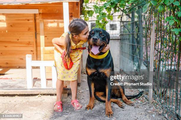 little girl kissing her dog - aggressive kissing stockfoto's en -beelden