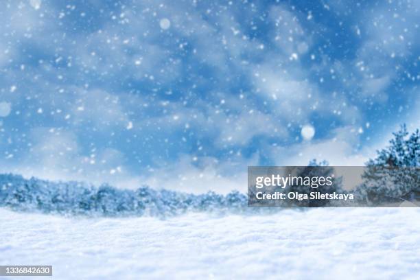 winter landscape - schneesturm stock-fotos und bilder