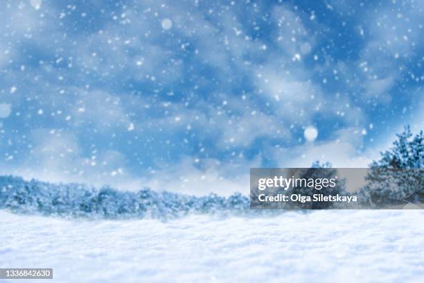 winter landscape - frozen water stock pictures, royalty-free photos & images