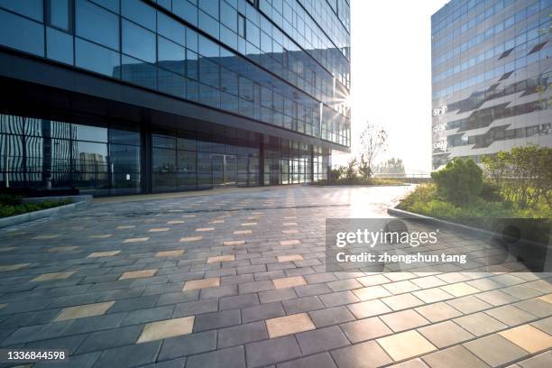 walkway in the park at sunrise - liaoning province stock pictures, royalty-free photos & images