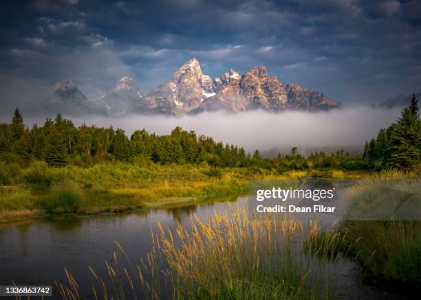 foggy morning at schwabacher landing - wyoming stock pictures, royalty-free photos & images