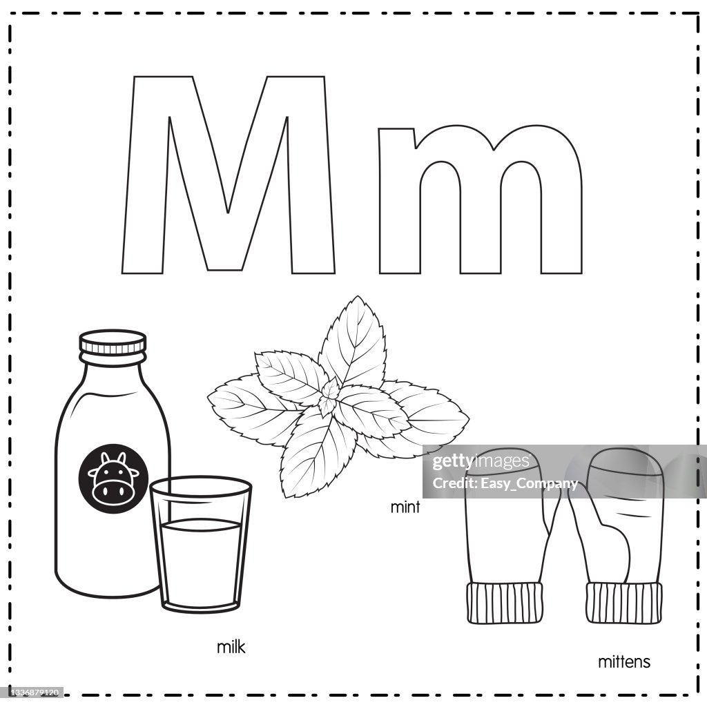 Vector illustration for learning the letter M in both lowercase and uppercase for children with 3 cartoon images. milk mint mittens.