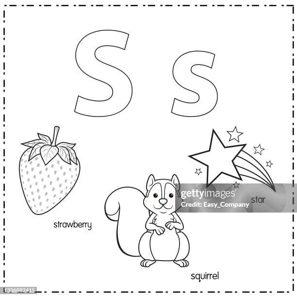 vector illustration for learning the letter s in both lowercase and uppercase for children with 3 cartoon images. strawberry squirrel star. - cute squirrel stock illustrations