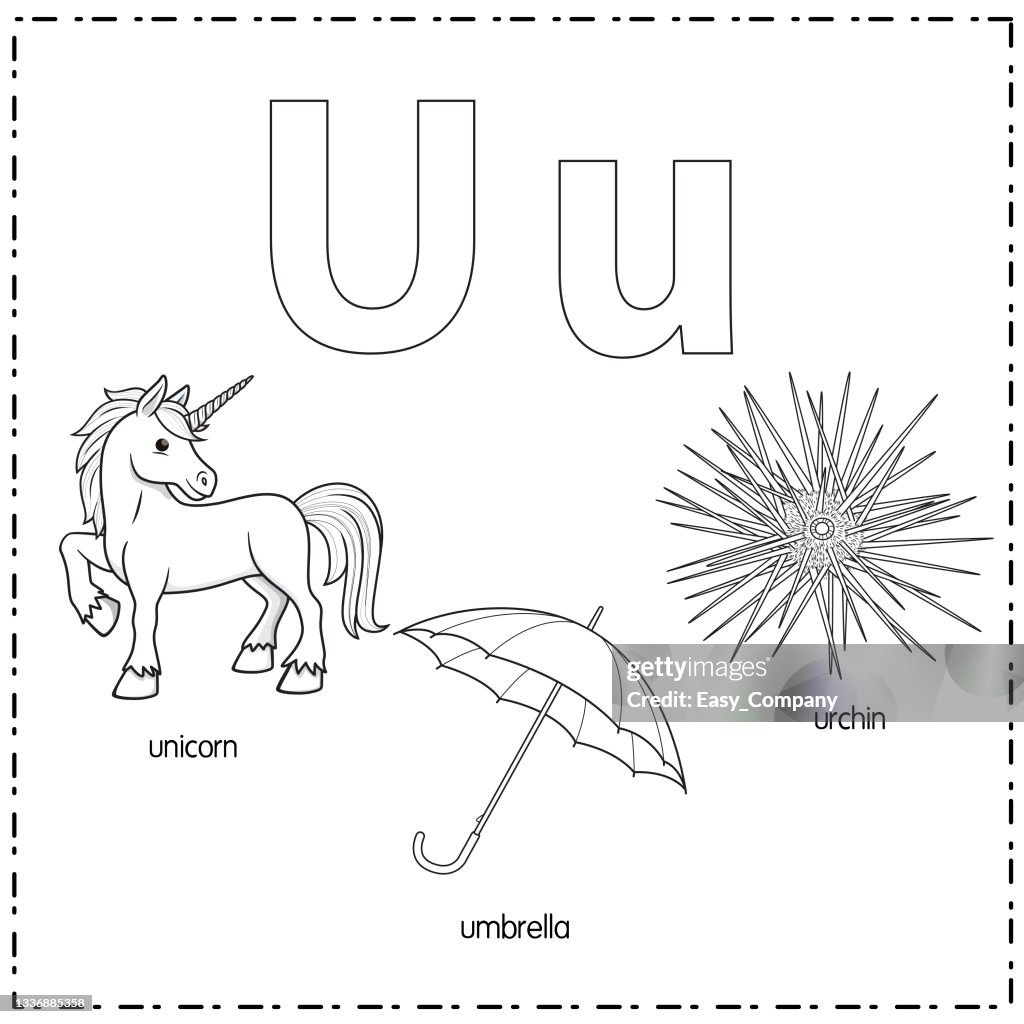 Vector illustration for learning the letter U in both lowercase and uppercase for children with 3 cartoon images. unicorn umbrella urchin.
