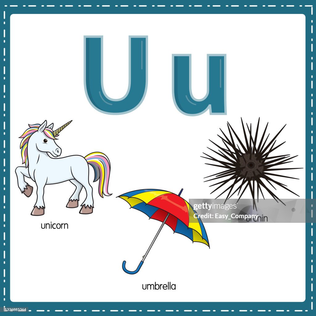 Vector Illustration For Learning The Letter U In Both Lowercase And  Uppercase For Children With 3 Cartoon Images Unicorn Umbrella Urchin  High-Res Vector Graphic - Getty Images
