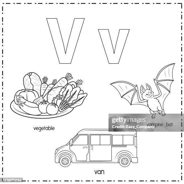 vector illustration for learning the letter v in both lowercase and uppercase for children with 3 cartoon images. vegetable van vampire bat. - cabbage isolated stock illustrations