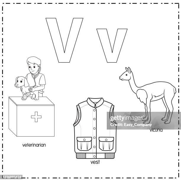 vector illustration for learning the letter v in both lowercase and uppercase for children with 3 cartoon images. veterinarian vest vicuna. - orange coat stock illustrations