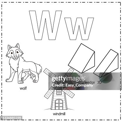 Vector illustration for learning the letter W in both lowercase and uppercase for children with 3 cartoon images. Wolf Windmill Wedge 3D. Vector illustration for learning the letter W in both lowercase and uppercase for children with 3 cartoon images. Wolf Windmill Wedge 3D.