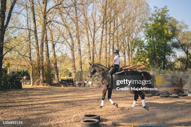 equestrian sport - young girl rides on horse - hindernisrace paardenrennen stockfoto's en -beelden