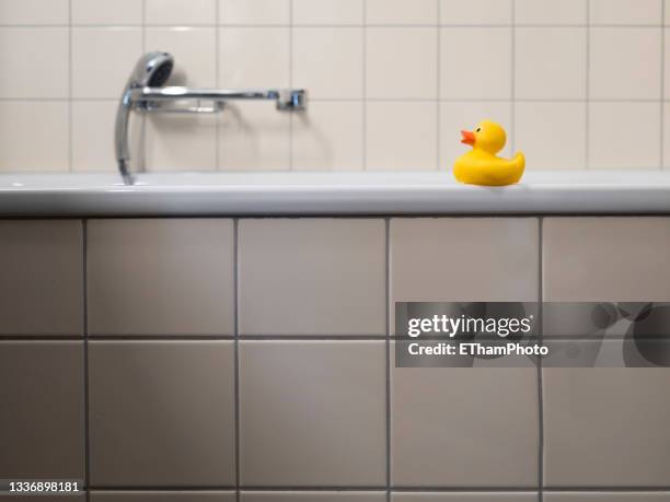 yellow toy rubber duck sitting on bathtub ledge - bathtub ledge stock pictures, royalty-free photos & images