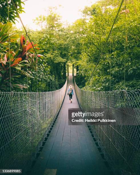 woman walking on the bridge in the jungle of costa rica - costa rica stock-fotos und bilder