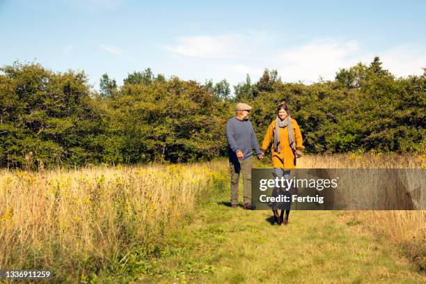 an autumn walk - middle age man and walking the dog stock pictures, royalty-free photos & images