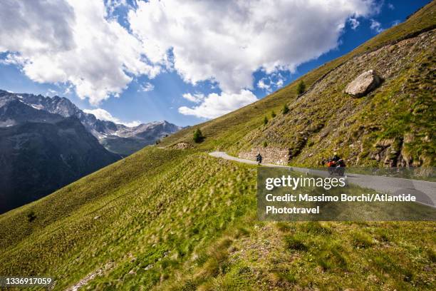 valcamonica, parco (park) nazionale dello stelvio - ponte di legno stock pictures, royalty-free photos & images