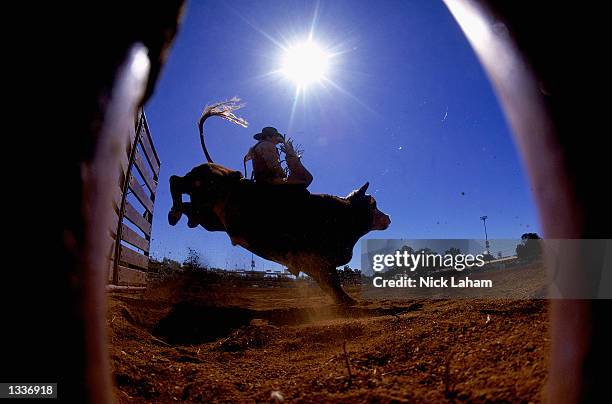Open Bulls Rodeo 574 Mount Isa Rodeo Stock Photos, High-Res Pictures, and Images - Getty ...