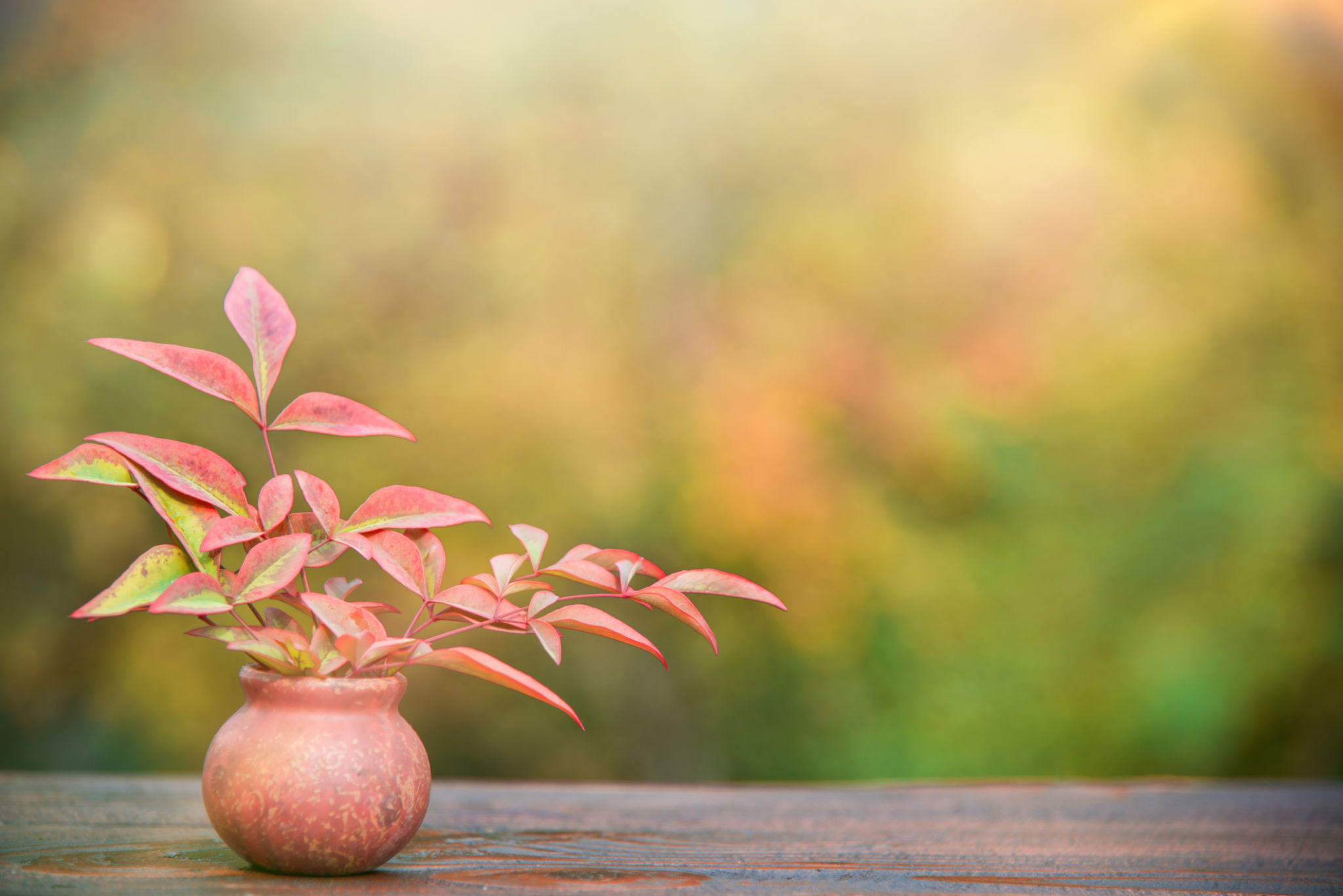 autumn clay pot