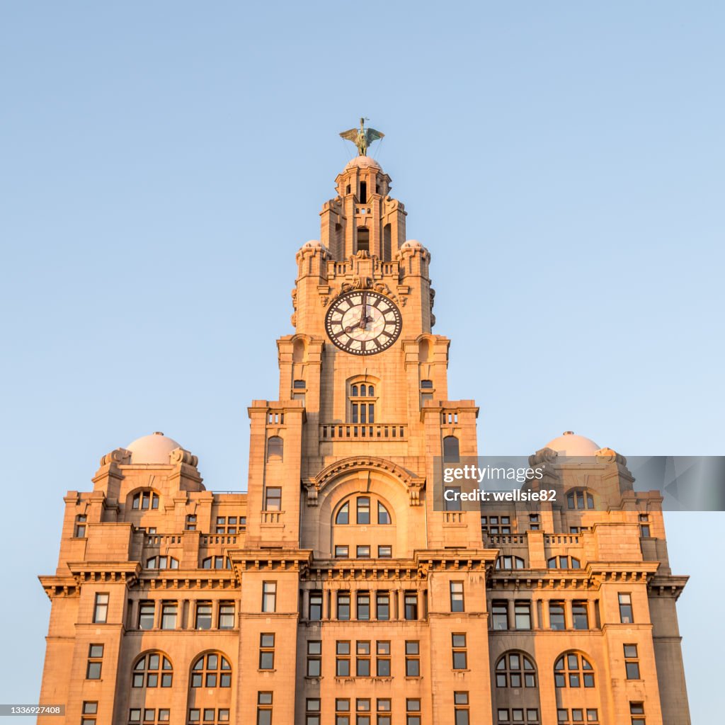 Square crop of the Royal Liver Building