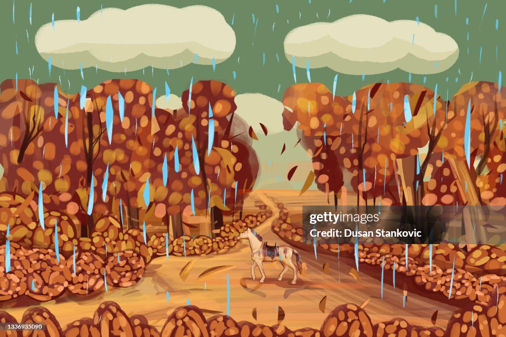 Chuva de outono na floresta