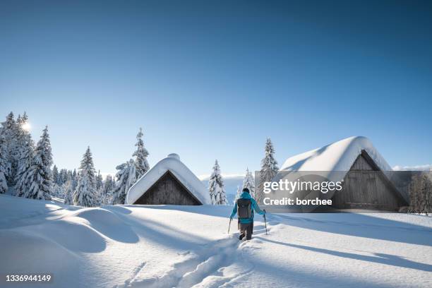 verschneiter wintertag - schneebedeckt stock-fotos und bilder