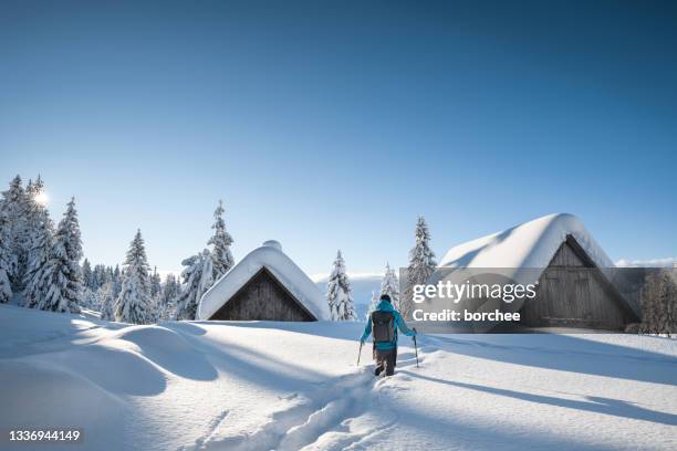 snowy winter day - chalet stockfoto's en -beelden