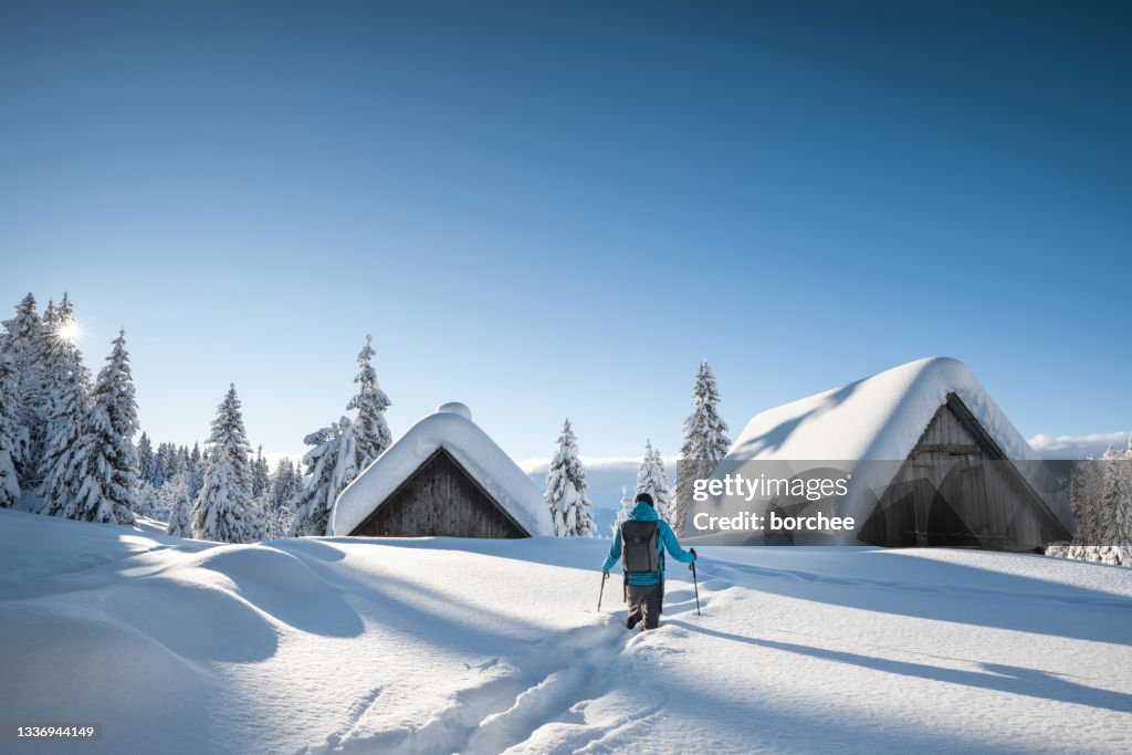 Snowy Winter Day