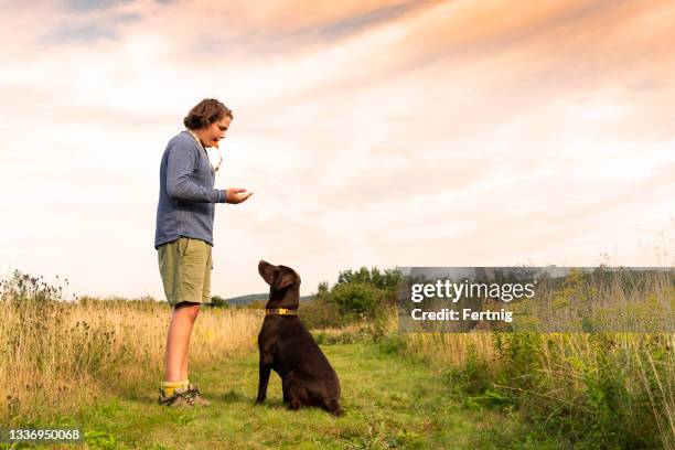 puppy training - dog whistle stock pictures, royalty-free photos & images