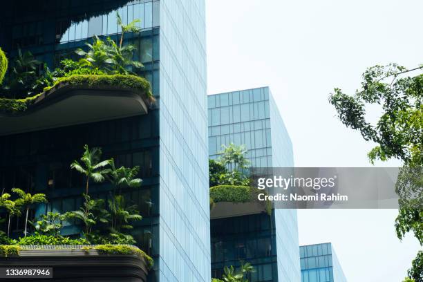 modern green building with innovative high rise garden - wolkenkratzer stock-fotos und bilder