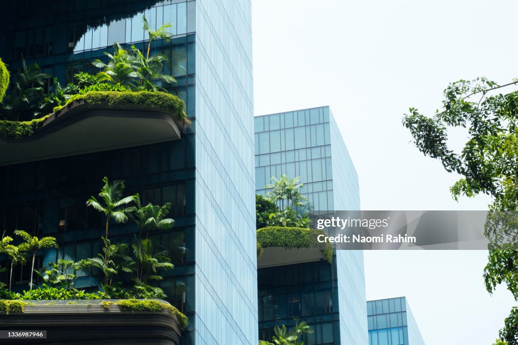 Modern green building with innovative high rise garden